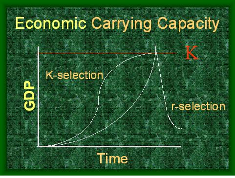 CARRYING CAPACITY  ECONOMIC.JPG