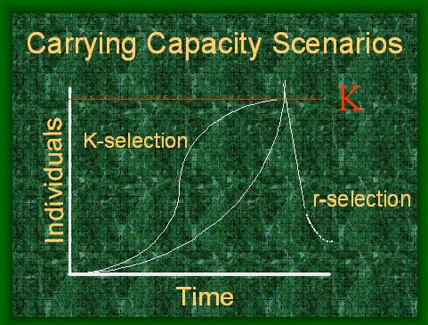 CARRYING CAPACITY SCENARIOS.JPG