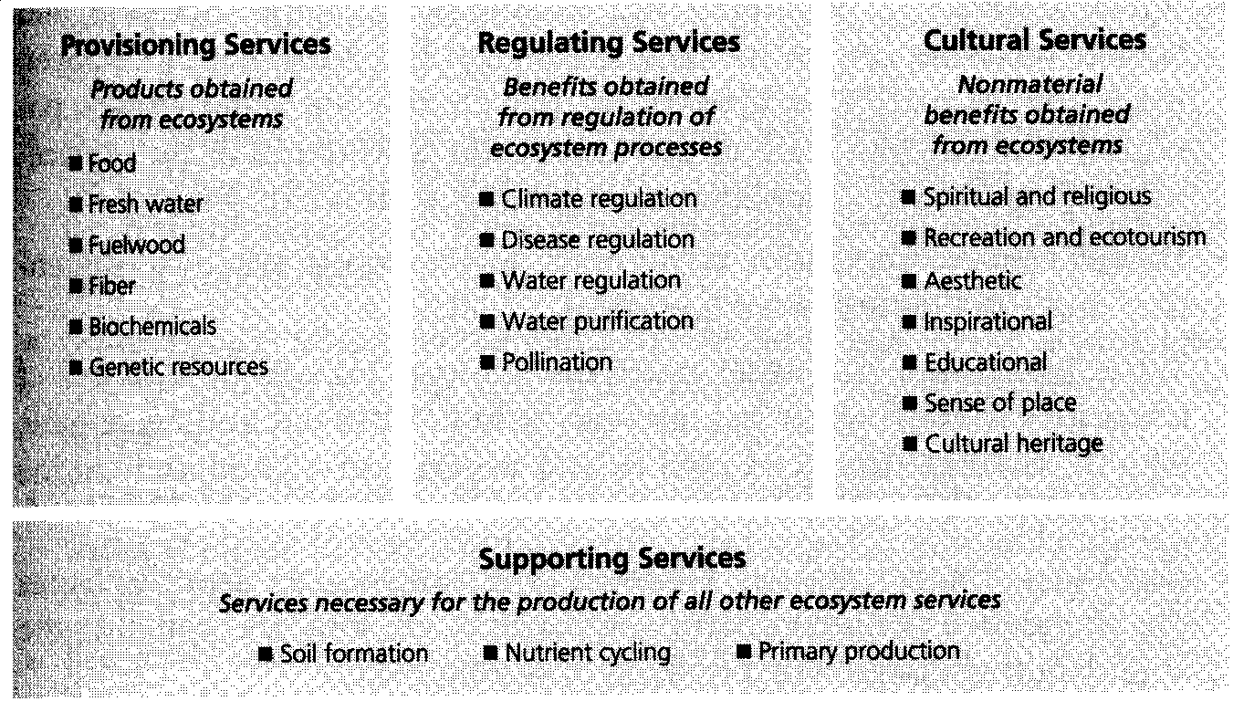 Ecosystem Service Categories  MA.gif