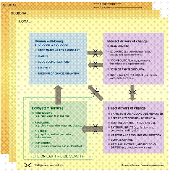 MA Framework.JPG