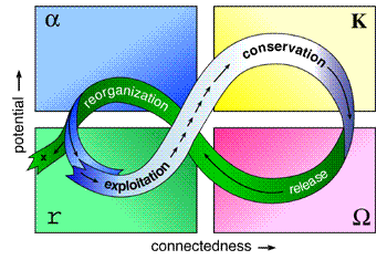 Panarchy model.gif