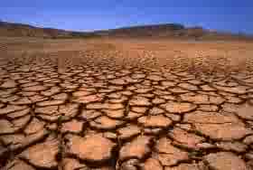 drought  ens.jpg