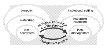 panarchy  levels disciplines and management.gif